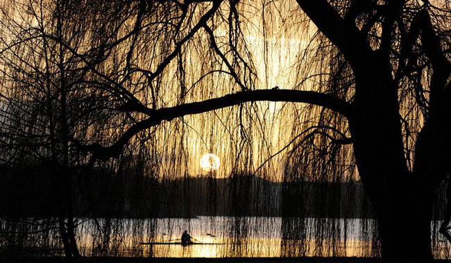 رودخانه آلستر رودخانه آلستر