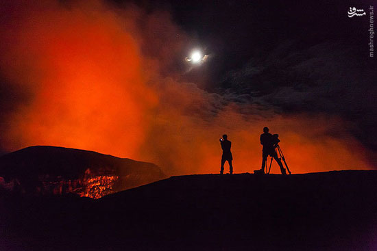 کریسمس مهیج یک جوان انگلیسی (+عکس)