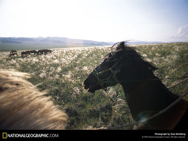 از نشنال جئوگرافیک(عکس)