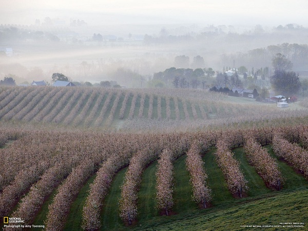 مناظر دیدنی(عکس)
