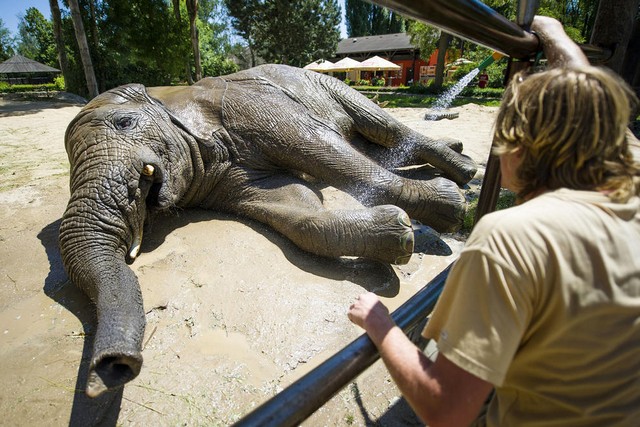 دیدنی های امروز