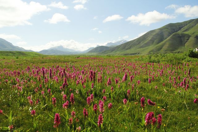 بهشتی در نزدیکی پایتخت (عکس)