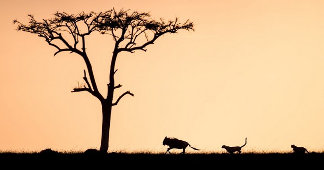 دیدنی های امروز