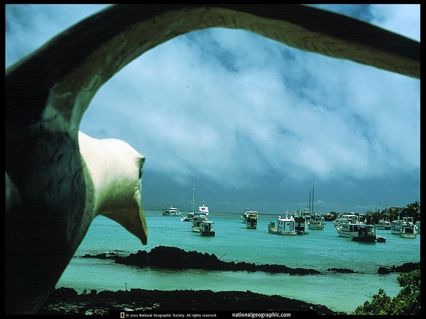 این تصاویر زیبا را ببینید!