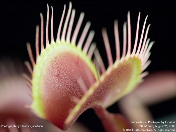 این تصاویر زیبا را ببینید!