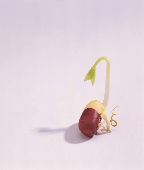 این تصاویر زیبا را ببینید!