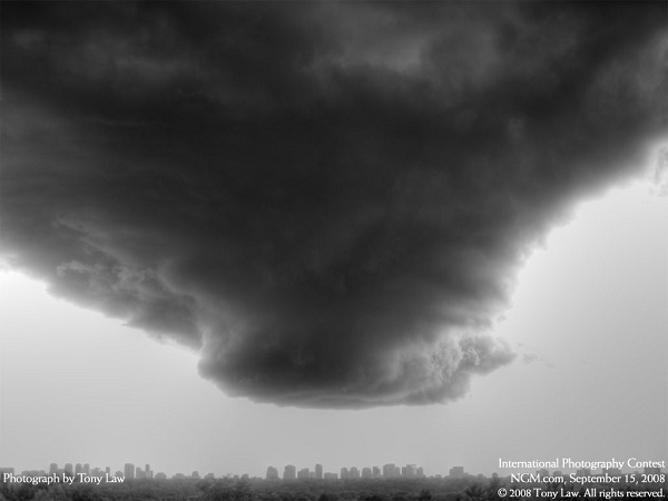 این تصاویر زیبا را ببینید!