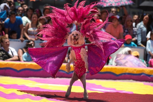 دیدنی های امروز