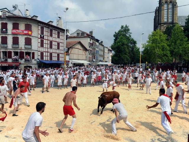 دیدنی های امروز