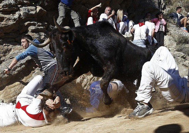 دیدنی های امروز