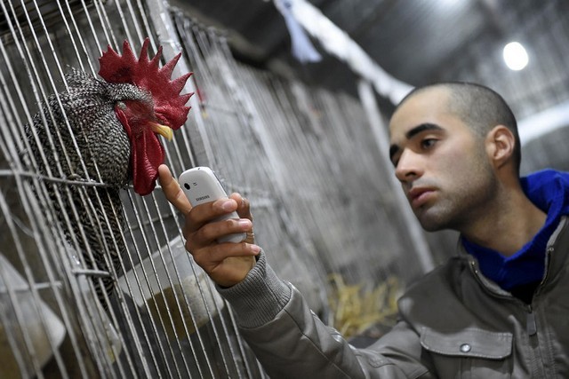 دیدنی های امروز (عکس) دیدنی های امروز (عکس)