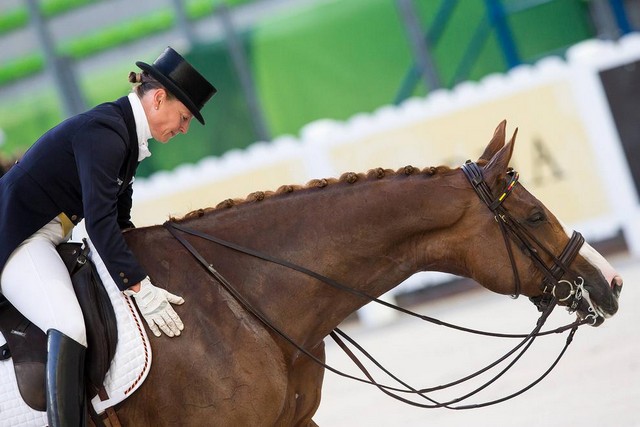 دیدنی های امروز