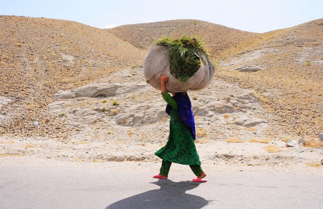 دیدنی های امروز