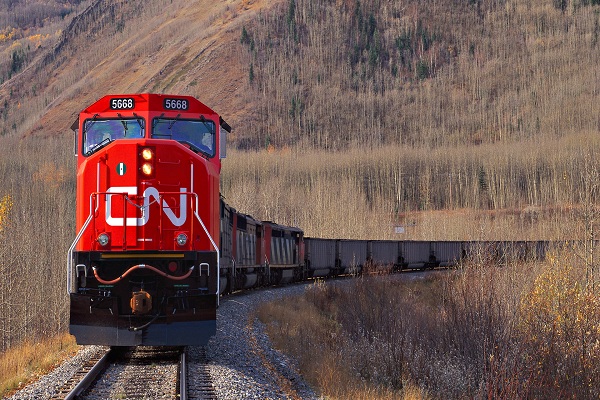 این تصاویر زیبا را ببینید!