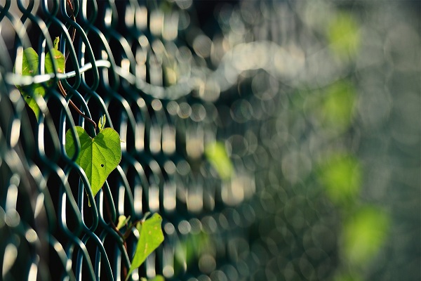 این تصاویر زیبا را ببینید!