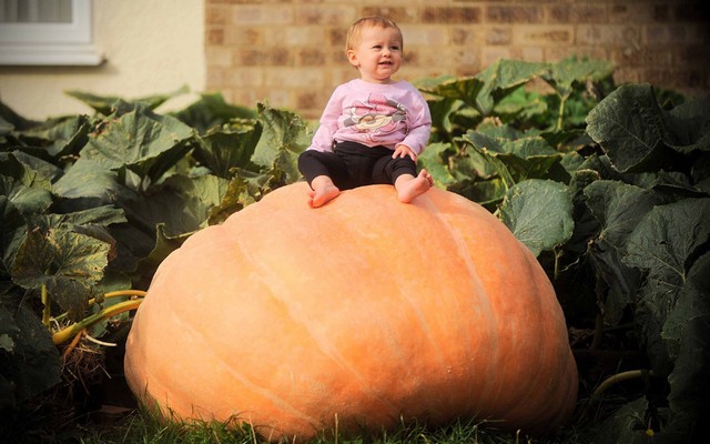 دیدنی های امروز