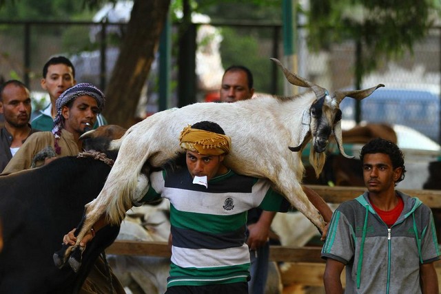 دیدنی های امروز