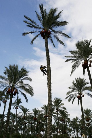 دیدنی های امروز