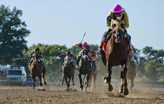 دیدنی های امروز