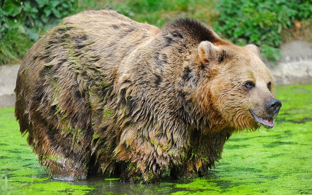 دیدنی های امروز