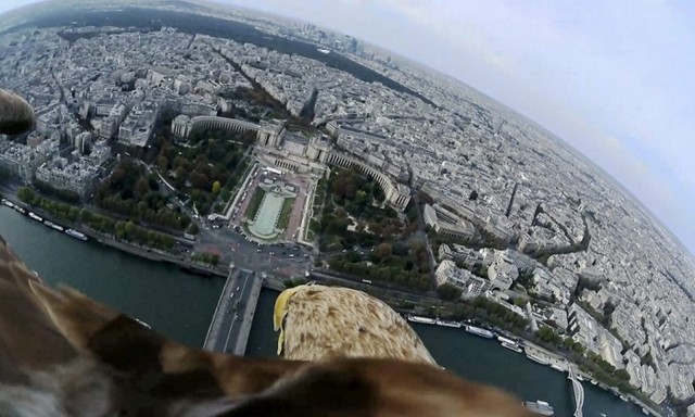 دیدنی های امروز دیدنی های امروز