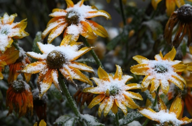 دیدنی های امروز دیدنی های امروز