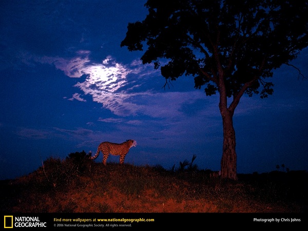 از نشنال جئوگرافیک(عکس)