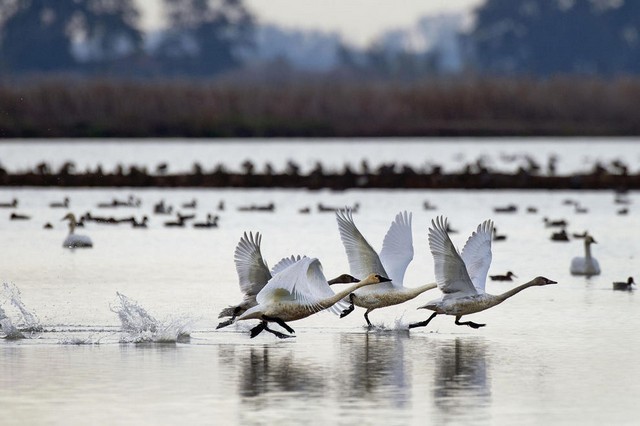 دیدنی های امروز