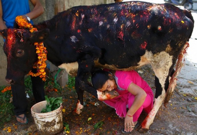 دیدنی های امروز