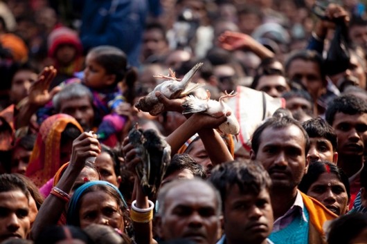 دیدنی های امروز