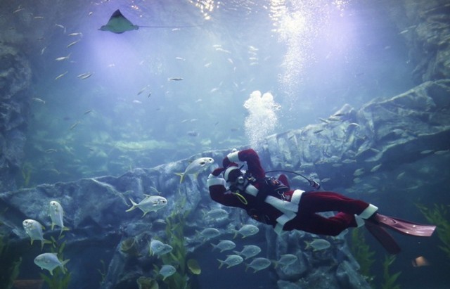 دیدنی های امروز دیدنی های امروز