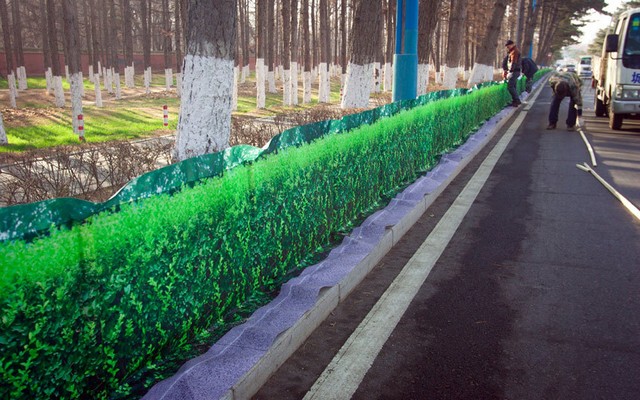 دیدنی های امروز