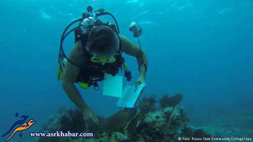 رکورد زندگی ۷۳ روزه یک زوج در زیر آب (+عکس)