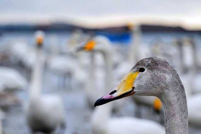 دیدنی های امروز دیدنی های امروز