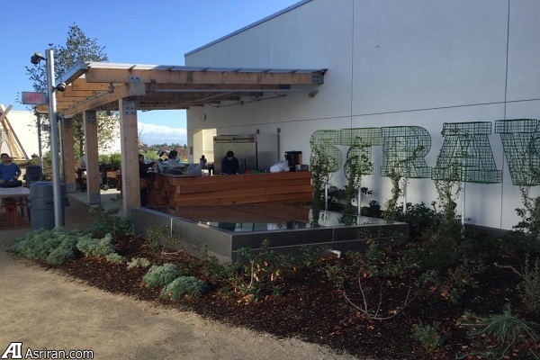 در پشت صحنه فیسبوک در پشت صحنه فیسبوک