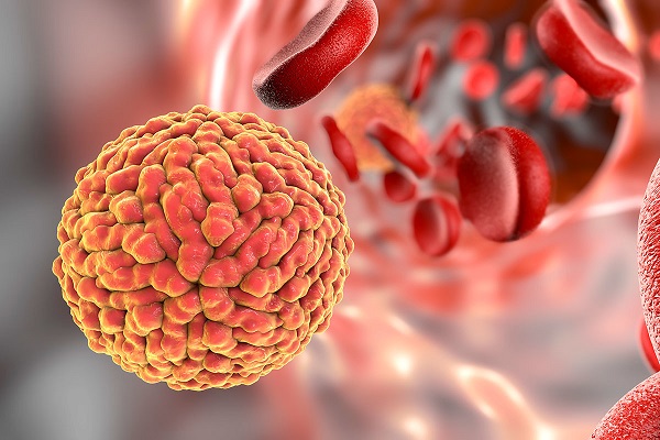 ساختار ویروس زیکا کشف شد ساختار ویروس زیکا کشف شد