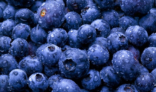 با این مواد غذایی به جنگ استرس بروید با این مواد غذایی به جنگ استرس بروید