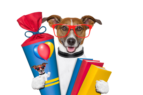 باجگیر تازه اندرویدیها را تهدید میکند باجگیر تازه اندرویدیها را تهدید میکند