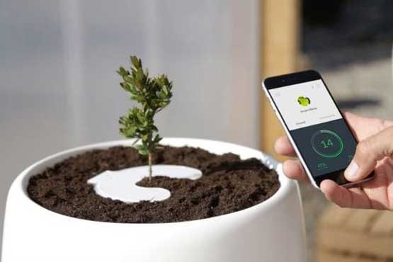 خاطرات مردگان به گیاه تبدیل میشود! خاطرات مردگان به گیاه تبدیل میشود!