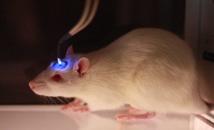 ۱۰ تکنولوژی برتر جهان در سال ۲۰۱۶ ۱۰ تکنولوژی برتر جهان در سال ۲۰۱۶