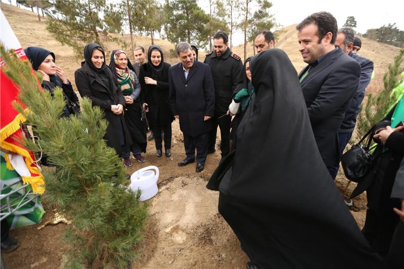 احداث پردیس گردشگری با حمایت بانک گردشگری آغاز شد احداث پردیس گردشگری با حمایت بانک گردشگری آغاز شد