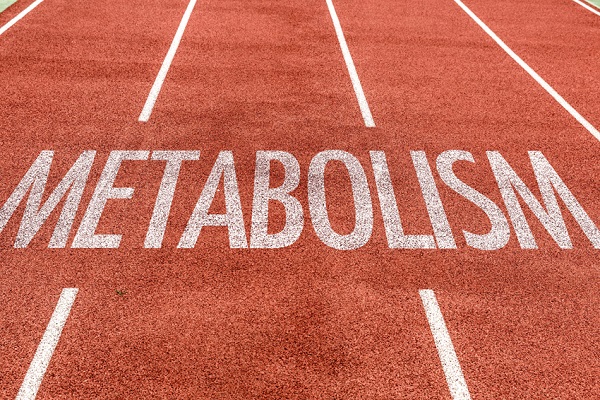 11 عامل تاثیرگذار در افزایش سوخت و ساز 11 عامل تاثیرگذار در افزایش سوخت و ساز