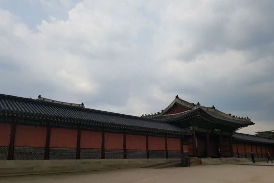 دیدار با خارپُشت در تلویزیون خمیده دیدار با خارپُشت در تلویزیون خمیده