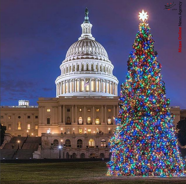 کریسمس در کاخ سفید (عکس)