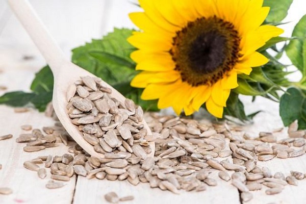 دانه&zwnj;های شفابخش!