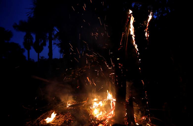 گروه 7: برای کمک به کشورهای آمازون آماده&zwnj;ایم (+عکس)