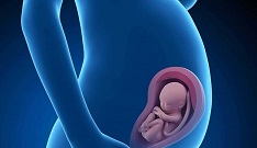 دلالانی که در بازارِ داغِ &laquo;رحم جایگزین&raquo; از آب گل آلود ماهی می&zwnj;گیرند