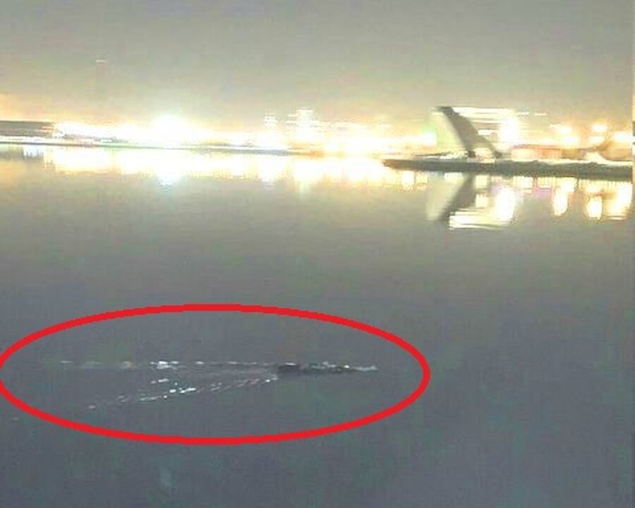 تمساح&zwnj; چیتگر