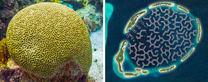 نخستین شهر شناور جهان مالدیو را از افزایش سطح آب دریا نجات می&zwnj;دهد