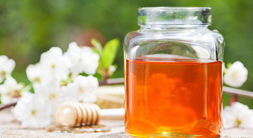 جهان بدون زنبور چگونه است؟